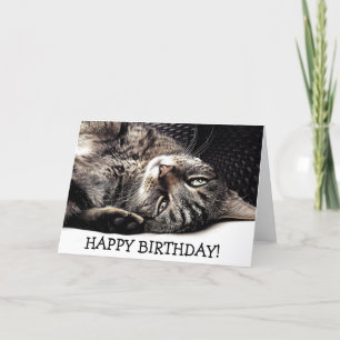 Funny birthday card with cat - ready to play! karte