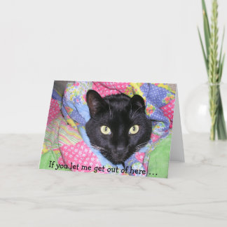 Funny Birthday Card: Wrapped black Cat Karte