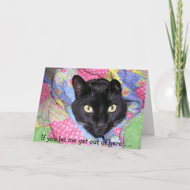 Funny Birthday Card: Wrapped black Cat Karte (Vorderseite)