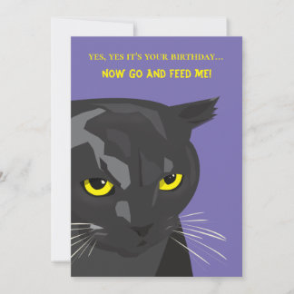 Funny Birthday Cat Card, Einladung