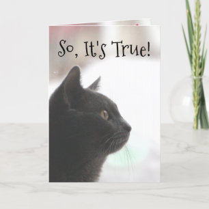 Funny Birthday Cat Card Karte