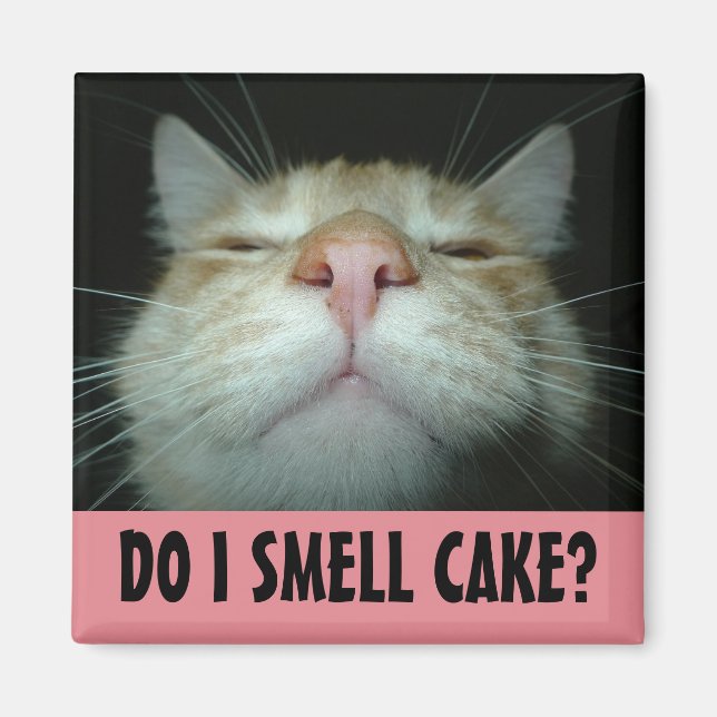 FUNNY BIRTHDAY CAT-KÜHLSCHRANKMAGNET MAGNET (Vorne)