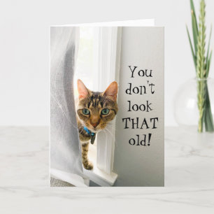 Funny Birthday Compliment Cat Card Karte