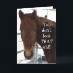 Funny Birthday Compliment TWH Horse Western Karte<br><div class="desc">Der sonnige Western "über dem Hügel" wünscht sich Geburtstag. Das süße Gesicht eines sorrel roten Tennessee Walking Horse auf Deckung. Cover Text liest, DASS DU NICHT SO ALT SEHST! Inside Text liest und das ist direkt vom MUND des PFERDES! GLÜCKLICH GEBURTSTAG! SEHEN WIR JETZT EINIGE ID! Personalisieren oder anpassen. Ein...</div>