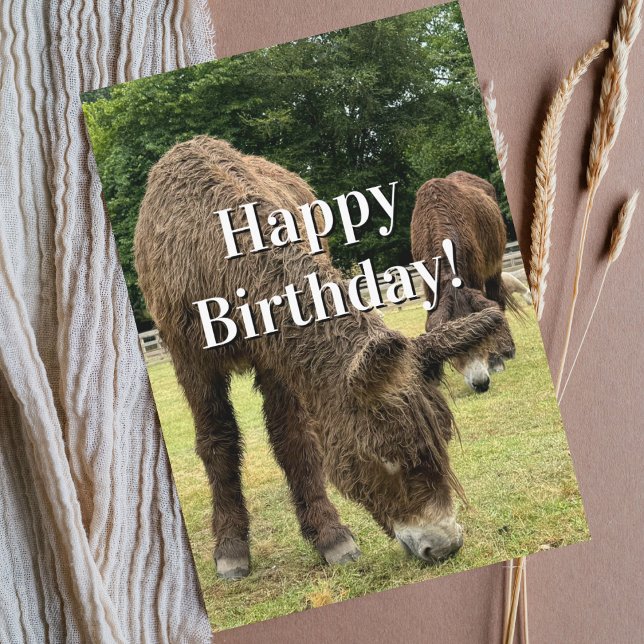 Funny Birthday Donkey Farm Animal Cute Barnyard  Karte (Von Creator hochgeladen)