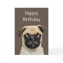 Funny, Birthday Happy Mops Hunde Humor