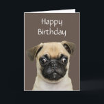 Funny, Birthday Happy Mops Hunde Humor Karte<br><div class="desc">Hoffe,  dass dein Geburtstag dich so glücklich macht wie ein Mops,  wenn du ihm sagst,  dass es ein guter Junge ist</div>