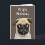 Funny, Birthday Happy Mops Hunde Humor Karte<br><div class="desc">Hoffe,  dass dein Geburtstag dich so glücklich macht wie ein Mops,  wenn du ihm sagst,  dass es ein guter Junge ist</div>