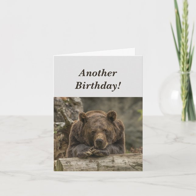 Funny Birthday it's Grizzly Bear Humor Karte (Vorderseite)