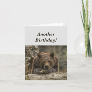 Funny Birthday it's Grizzly Bear Humor Karte