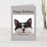 Funny Birthday Old Age Over the Hill, Cat Spaß Karte<br><div class="desc">Das Alter ist,  wenn es länger dauert,  eine gute Zeit zu überqueren,  als sie zu haben.  Spaß Katze Geburtstag Spaß.</div>