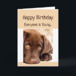 Funny Birthday Old Age Over the Hill Dog Karte<br><div class="desc">Die sonnige Geburtstagszeit über dem Hügel mit einem traurig aussehenden Schokoladenjungen Welpen</div>