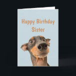 Funny Birthday Sister schockiert Hund Tier Spaß Karte<br><div class="desc">Viel Spaß beim Geburtstag,  sodass sich Ihr Haustier Sorgen macht. Herzlichen Glückwunsch zum Geburtstag für Schwester mit humorvollem Vers im Inneren und schockierendem Hund</div>