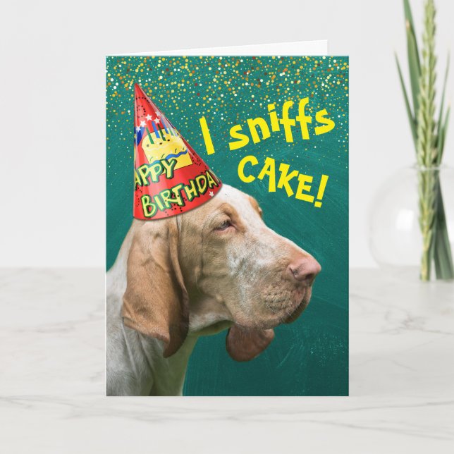Funny Birthday Sniffs Hound Wear Party Hat Karte (Vorderseite)