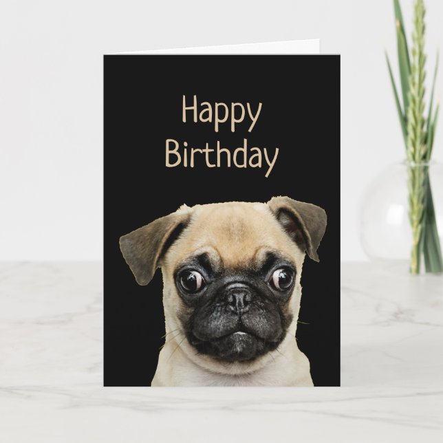 Funny Birthday Spaß Pet, Mops Dog Card Karte (Vorderseite)