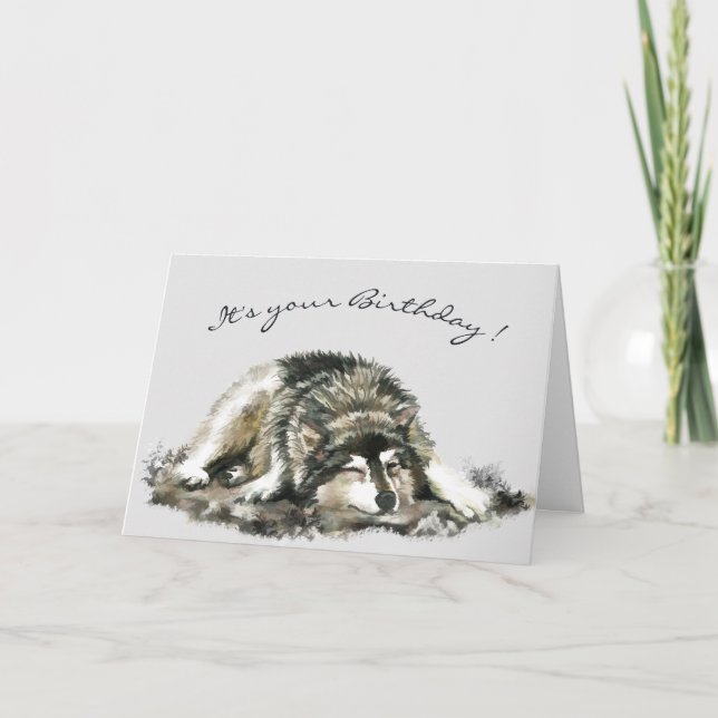 Funny Birthday Tired Napping Husky Dog Card Karte (Vorderseite)