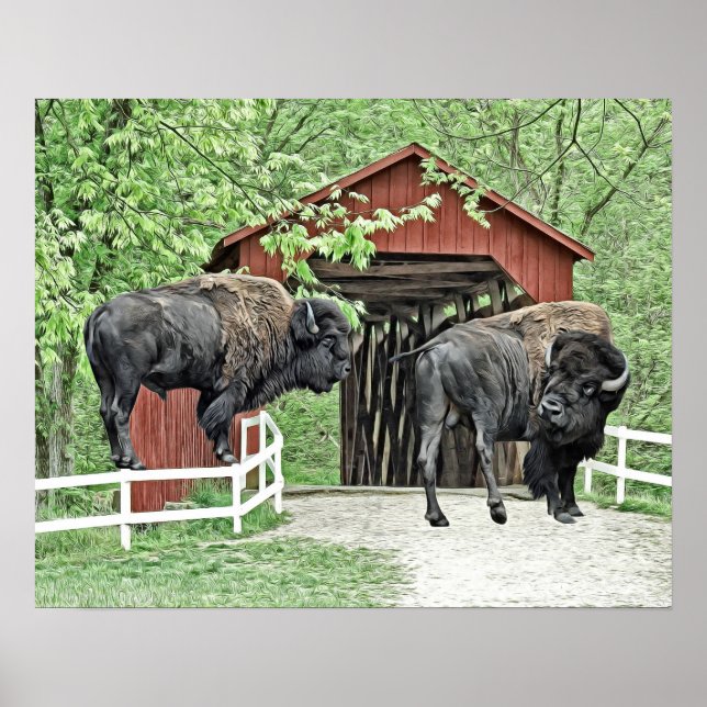 Funny Bison an der Covered Bridge Poster (Vorne)