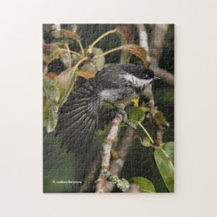 Funny Black Capped Chickadee mit einer Stretch Puzzle