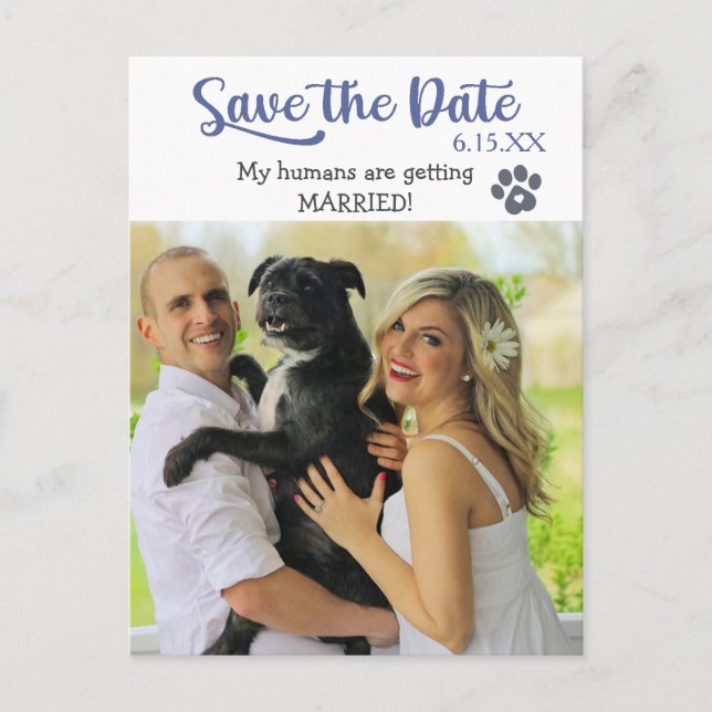Funny Blue Text Rette das Hochzeitdatum mit Hund Postkarte (Vorderseite)