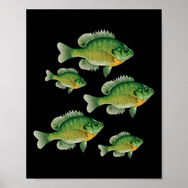 Funny Bluegill Sunfish Fishing Freshwater Fish Ang Poster (Vorne)