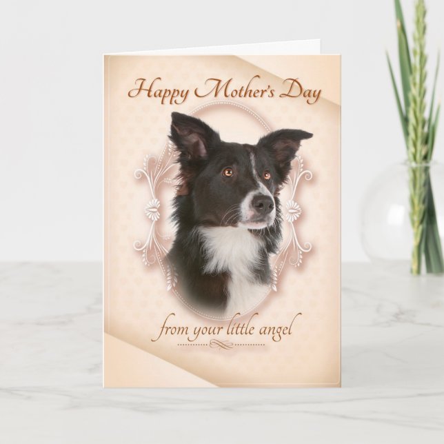 Funny Border Collie Day Card Karte (Vorderseite)