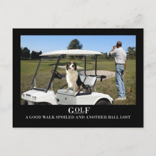 Funny Border Collie Dog Postcard, verlorener Ball Postkarte