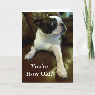 Funny Boston Terrier Birthday Card (Tierrettung) Karte