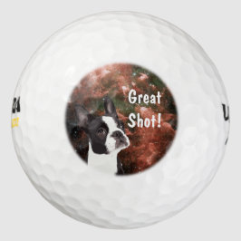 Funny Boston Terrier im Space Golf Ball