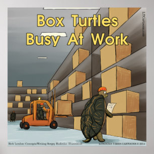 Funny Box Turtle Glossen Poster