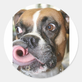 Funny Boxer Dog Runder Aufkleber