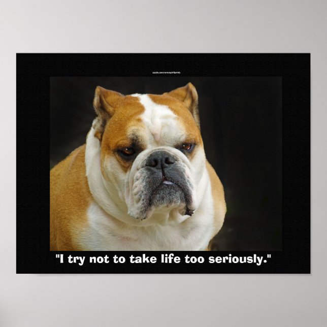 Funny Bull Dog Pet-Liebhaber Demotivationspopster Poster (Vorne)