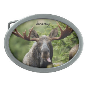 Funny Bull Moose Tongue     Ovale Gürtelschnalle