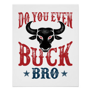 Funny Bull Riding macht es sogar, sich mit dem Bro Poster