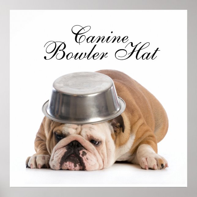 Funny Bulldog Fashion - Poster - srf (Vorne)