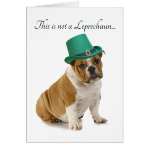 Funny Bulldog Leprechaun Card