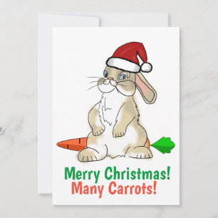 Funny Bunny Frohe Weihnachten