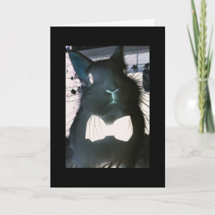 ***FUNNY BUNNY*** FUNNY CARD **EASTER GREETINGS** FEIERTAGSKARTE