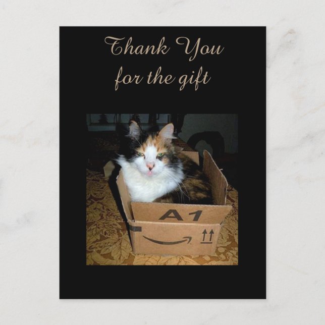 Funny Calico Cat in Box Danke Postcard Postkarte (Vorderseite)