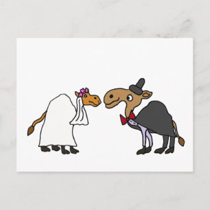 Funny Camel Bride und Groom Wedding Cartoon Postkarte