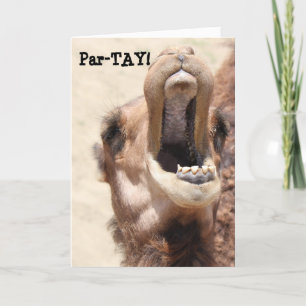 Funny Camel Card, PAR-TAY wie Ihr Geburtstag! Karte