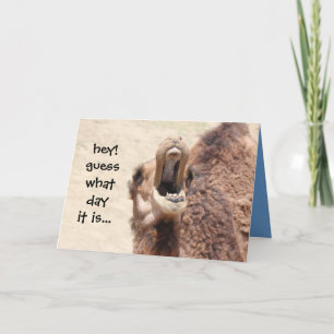 Funny Camel Hump Day Easter Card (blue) Feiertagskarte