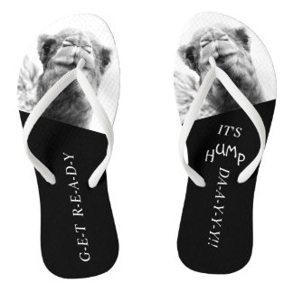 Funny Camel Hump Day Foto Flip Flops