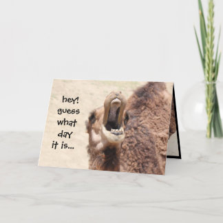 Funny Camel Hump Day Retirement Card Karte