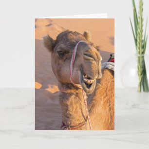 Funny Camel Karte