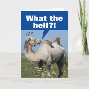 Funny Camel mit Droopy Humps Geburtstag Karte