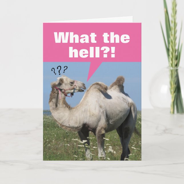 Funny Camel mit Droopy Humps Geburtstag Karte (Vorderseite)