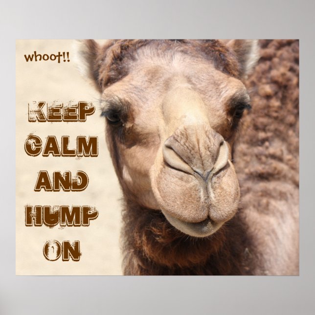 Funny Camel Poster Behielt Calm und Hump On (whot! (Vorne)
