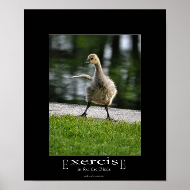 Funny Canada Goose Gosling Exercure Demotivational Poster (Vorne)