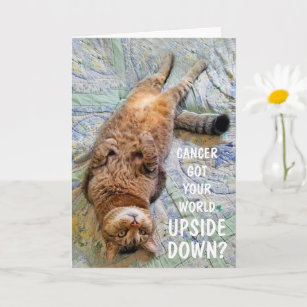 Funny Cancer - Unterstützung für Katzen auf dem Ko Karte