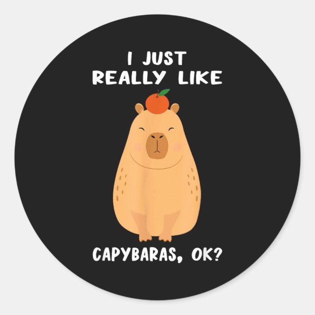 Funny Capybara Art For Men Women Kids Rodent Capyb Runder Aufkleber (Vorderseite)